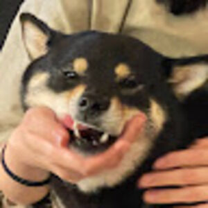 Meet your Posher, Siyi